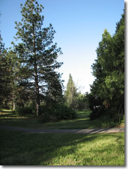 West arboretum