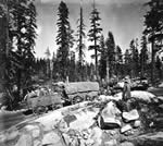 Donner Summit crossing by covered wagon