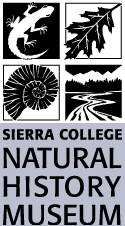 Sierra College Natural History Museum