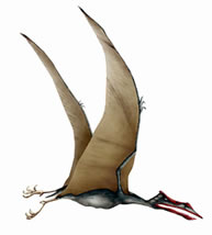 Quetzalcoatlus. Photo credit: LeCire