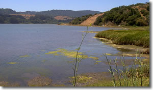 Bolinas Lagoon