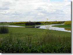 Yolo Bypass