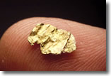 gold nugget