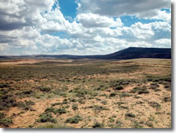 South Pass Wyoming. Source:  Oregon National Historic Trail.  U.S. National Park Service. 