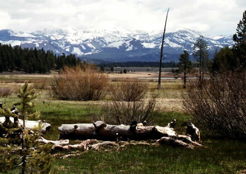 Alder Creek Valley