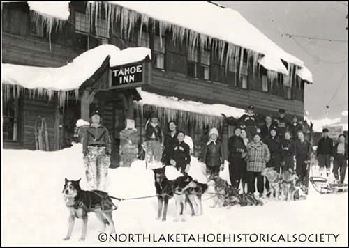 Tahoe Inn and dogs